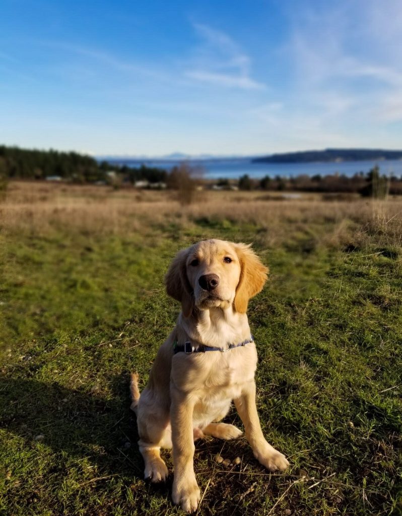 Greenbank Farm Trail