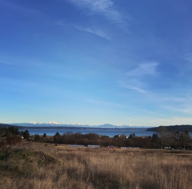 View from the top of the trail at Greenbank Farm 