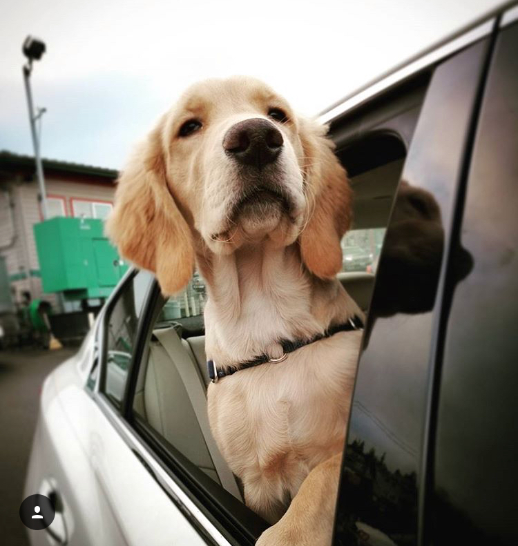 Waiting in the ferry line